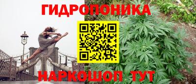 каннабис Малгобек