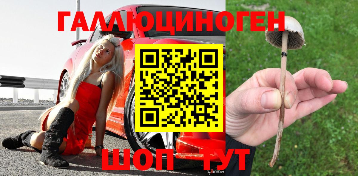 Галлюциногенные грибы ЛСД Симферополь