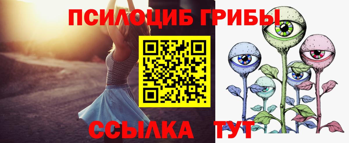 Симферополь  Псилоцибиновые грибы Psilocybine cubensis  Вход с VPN 